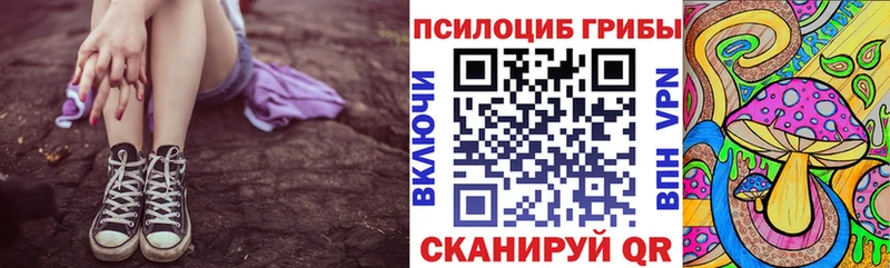 купить наркотики сайты  Валдай  Псилоцибиновые грибы Psilocybine cubensis 